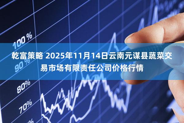 乾富策略 2025年11月14日云南元谋县蔬菜交易市场有限责任公司价格行情