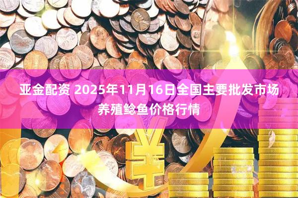 亚金配资 2025年11月16日全国主要批发市场养殖鲶鱼价格行情