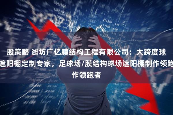 股策略 潍坊广亿膜结构工程有限公司：大跨度球场遮阳棚定制专家，足球场/膜结构球场遮阳棚制作领跑者